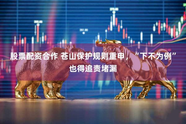 股票配资合作 苍山保护规则重申，“下不为例”也得追责堵漏