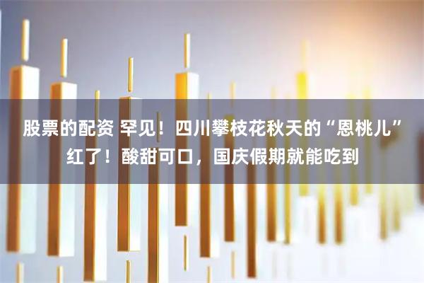 股票的配资 罕见！四川攀枝花秋天的“恩桃儿”红了！酸甜可口，国庆假期就能吃到