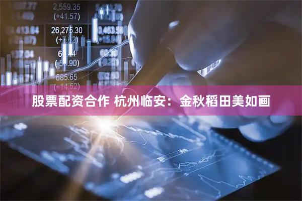 股票配资合作 杭州临安：金秋稻田美如画