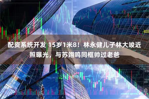 配资系统开发 15岁1米8！林永健儿子林大竣近照曝光，与苏翊鸣同框帅过老爸