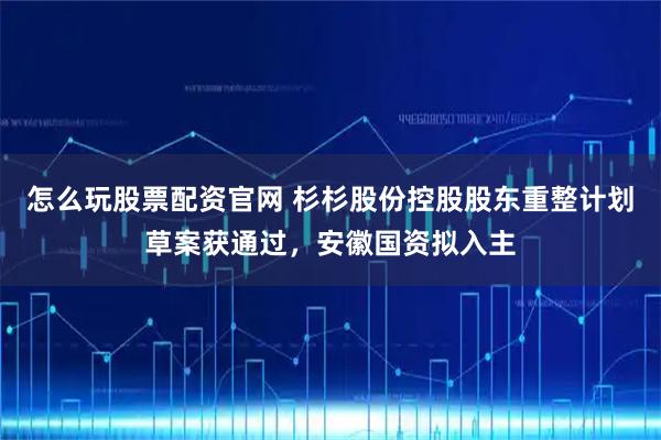 怎么玩股票配资官网 杉杉股份控股股东重整计划草案获通过，安徽国资拟入主